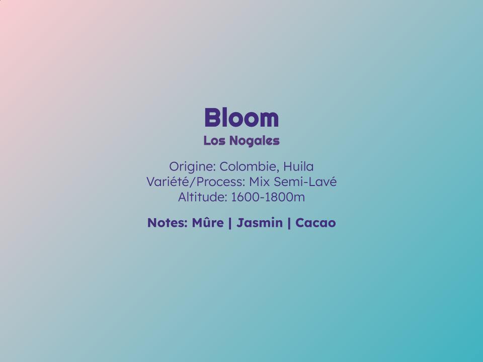 Bloom - Filtre - Céleste