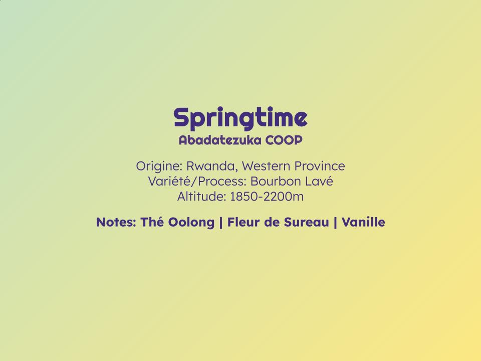 Springtime - Espresso - Céleste