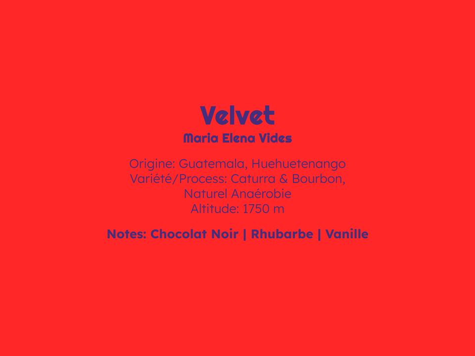 Velvet - Espresso - Céleste
