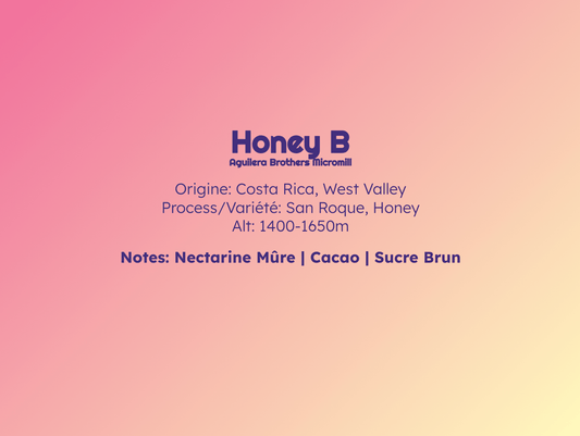 Honey B - Filtre - Céleste