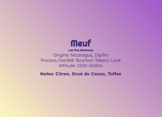 Meuf - Espresso - Céleste