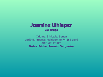 Jasmine Whisper - Espresso