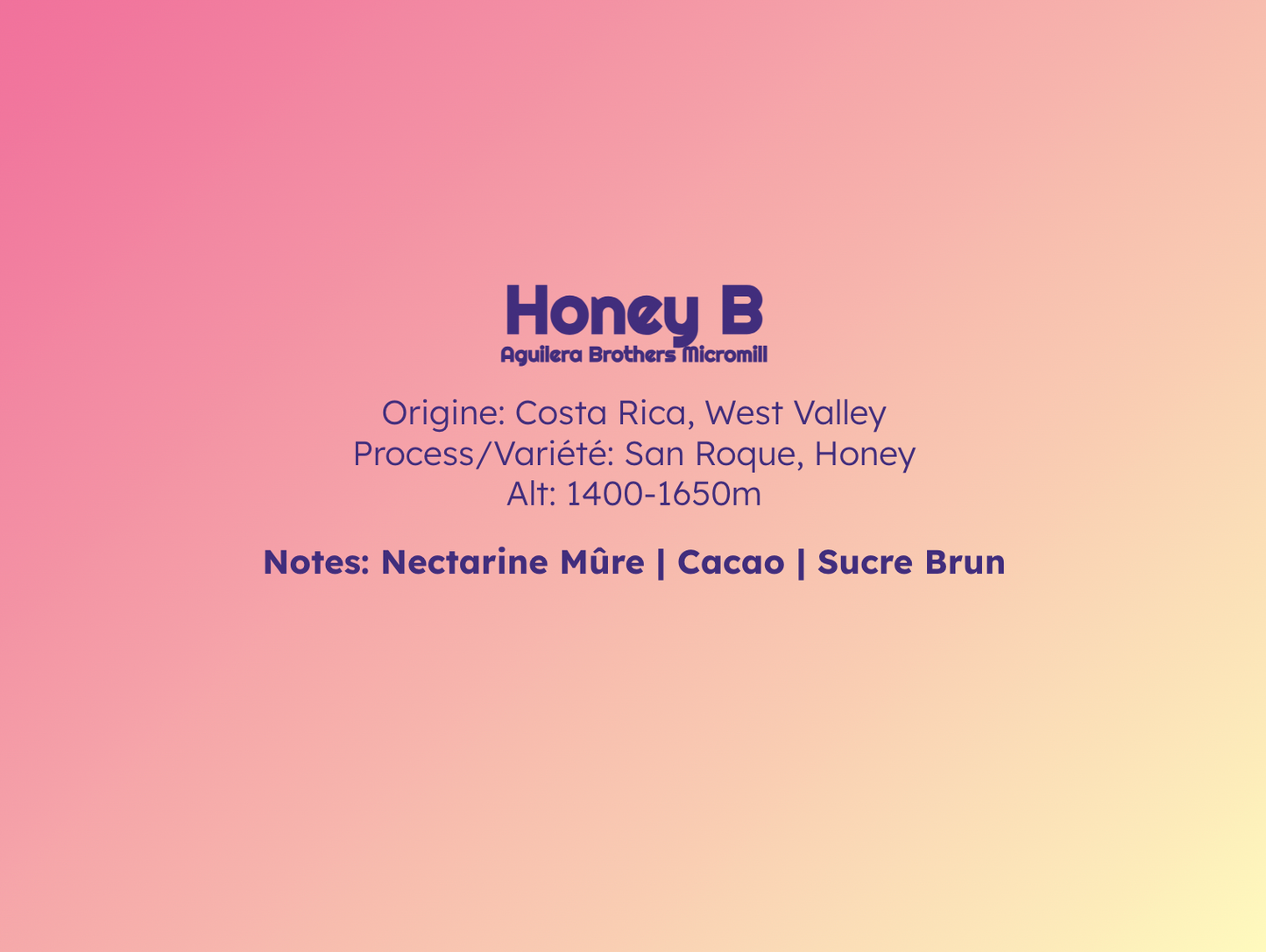 Honey B - Filtre
