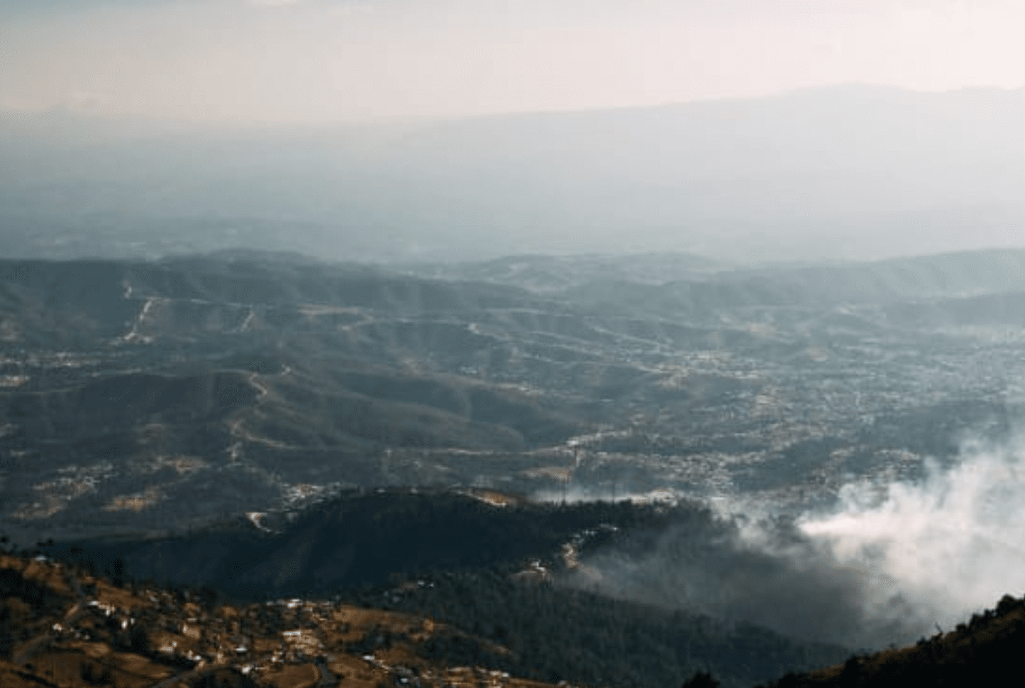 Amber Shot - Espresso - Céleste