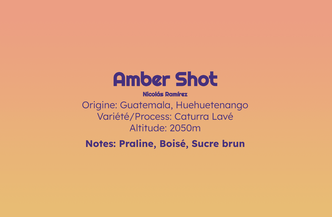 Amber Shot - Espresso - Céleste