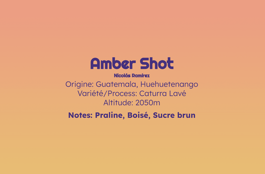 Amber Shot - Espresso - Céleste