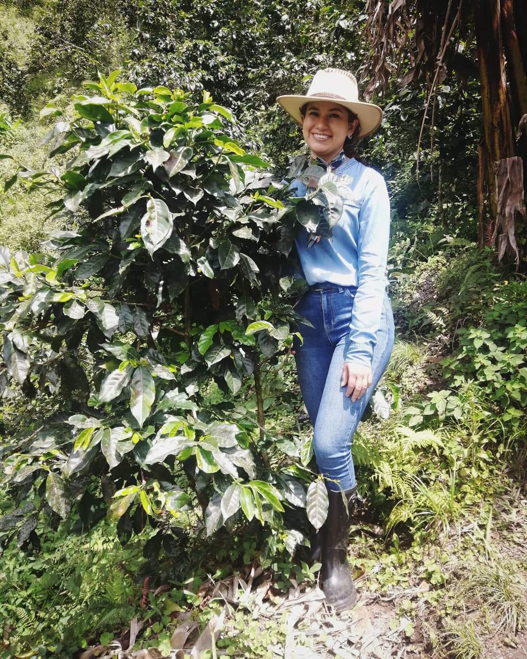 Meuf 2.0 - Filtre - Céleste