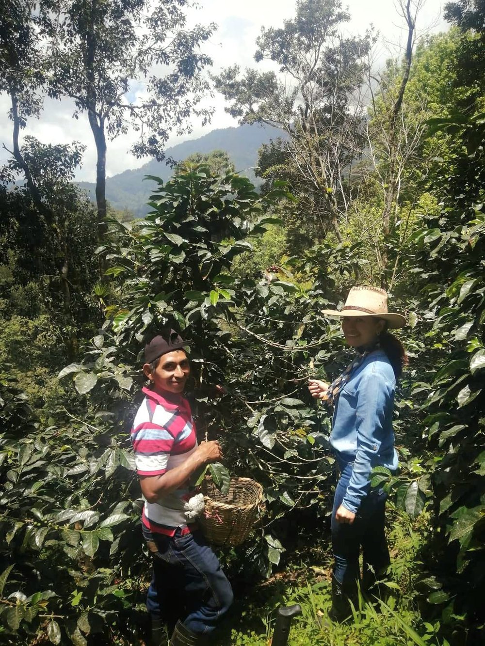 Meuf 2.0 - Filtre - Céleste