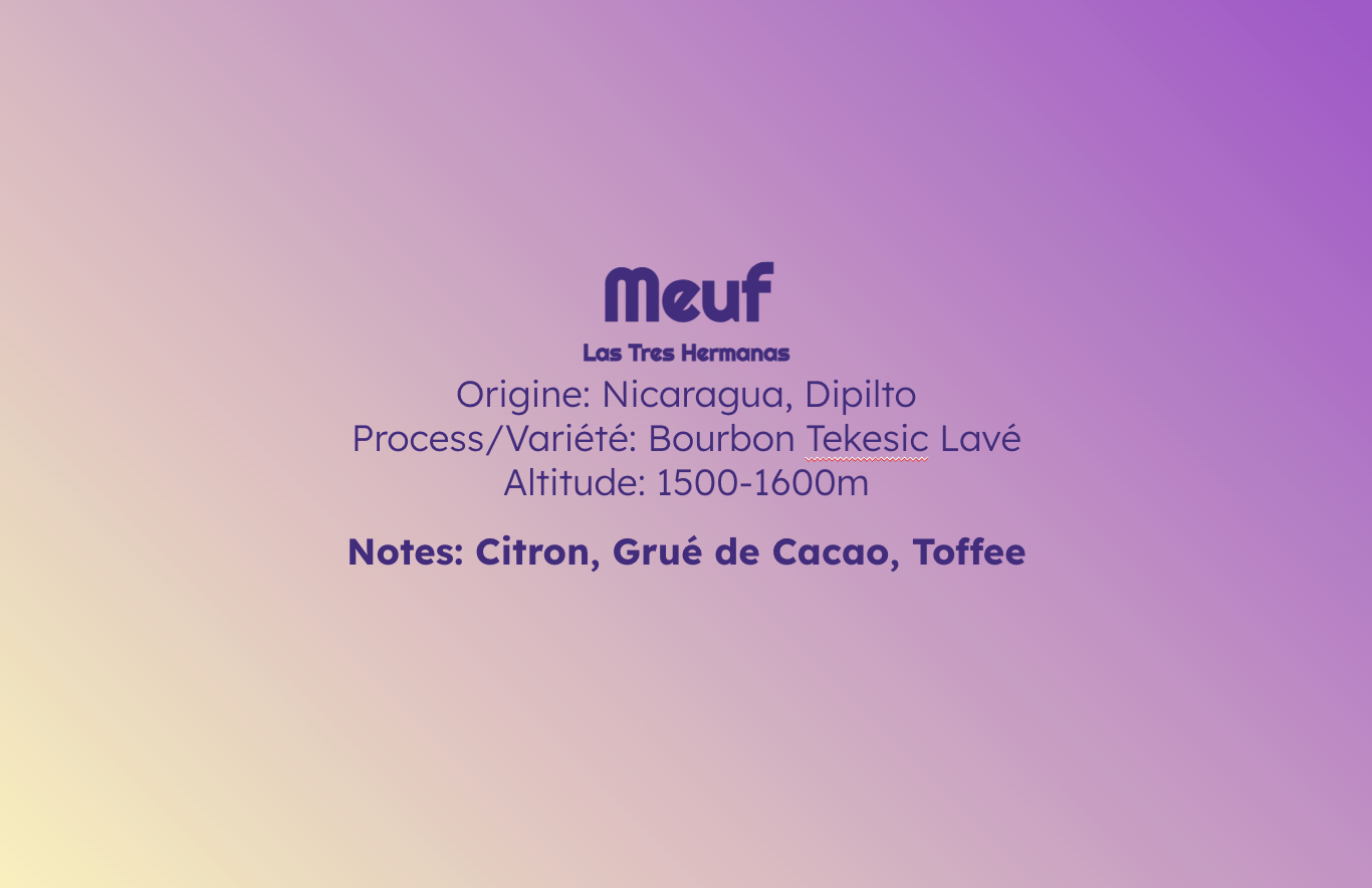 Meuf - Espresso - Céleste
