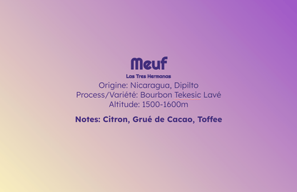 Meuf - Espresso - Céleste