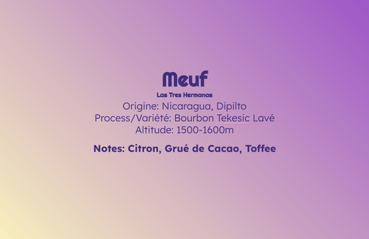 Meuf - Espresso - Céleste