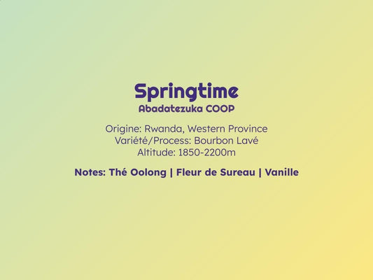 Springtime - Espresso - Céleste