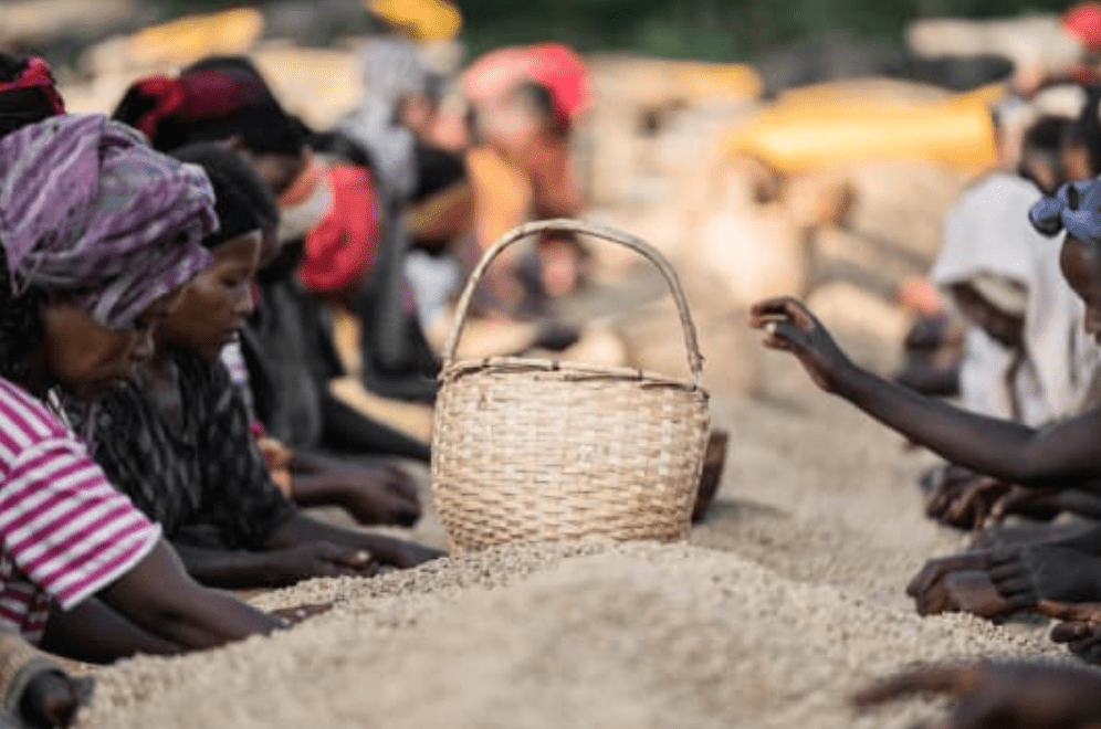 Sweet Petal - Filtre - Céleste