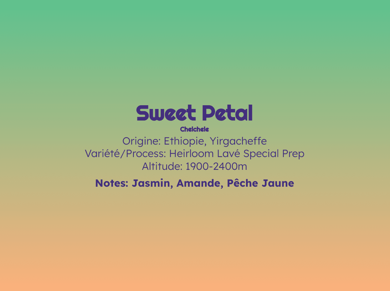 Sweet Petal - Filtre - Céleste