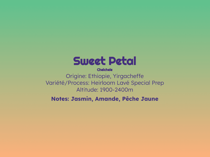 Sweet Petal - Filtre - Céleste