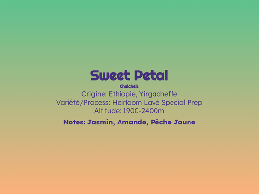 Sweet Petal - Filtre - Céleste
